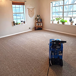 Professional floor cleaning service in Austin